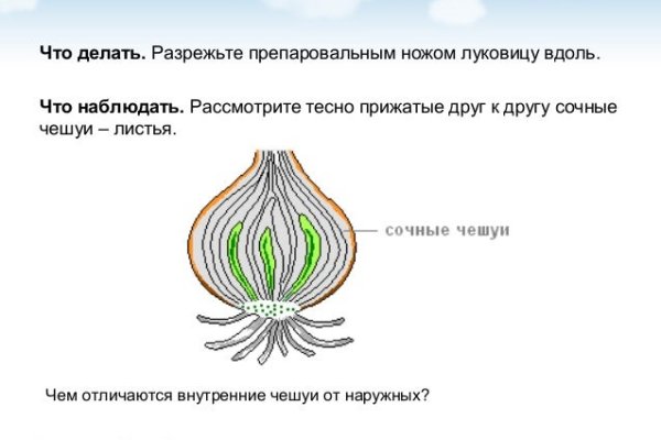 Как положить деньги на кракен